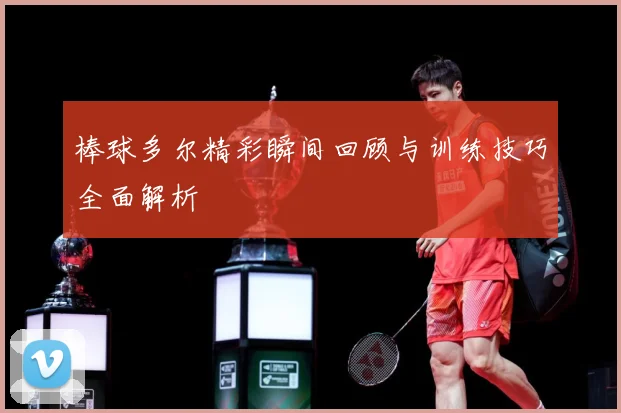 棒球多尔精彩瞬间回顾与训练技巧全面解析