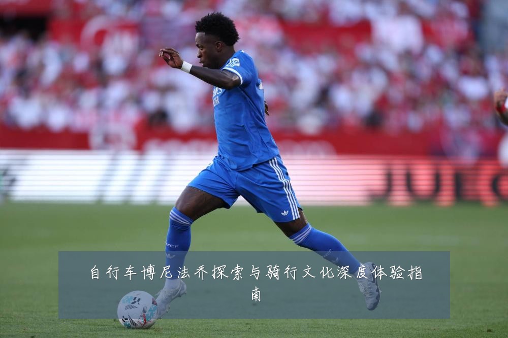 自行车博尼法乔探索与骑行文化深度体验指南